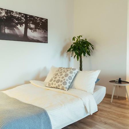 Bright And Spacious Central Apartment- Piata Amzei Bucureşti Ngoại thất bức ảnh