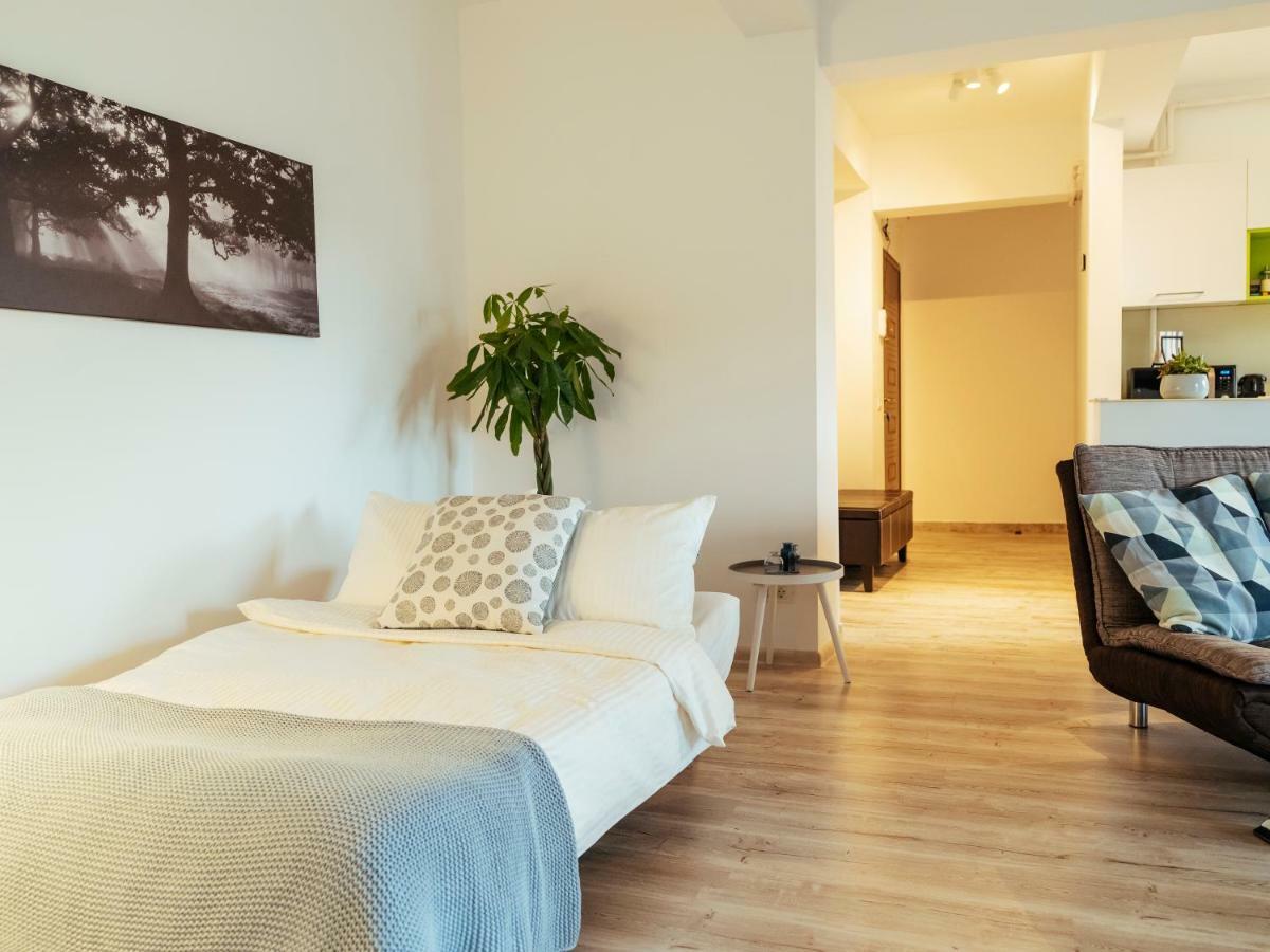 Bright And Spacious Central Apartment- Piata Amzei Bucureşti Ngoại thất bức ảnh